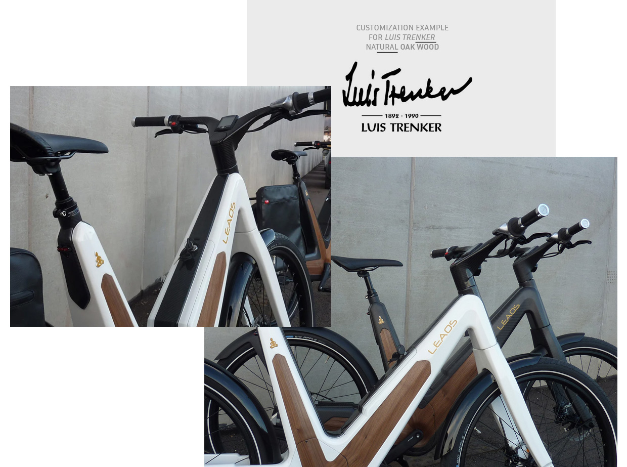 Luis Trenker ebike