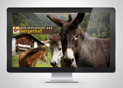 web agency South Tyrol